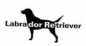 상표 유사 판단 판례 분석 [Labrador Retriever vs DAWN FIELD] 관련 자료