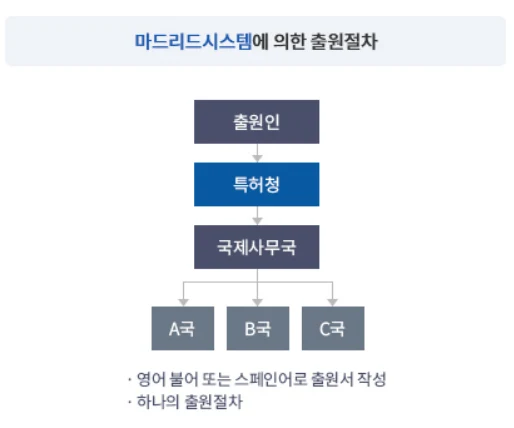 마드리드 국제상표출원, 수출바우처 그리고 아이피렉스 특허법률사무소 관련 자료