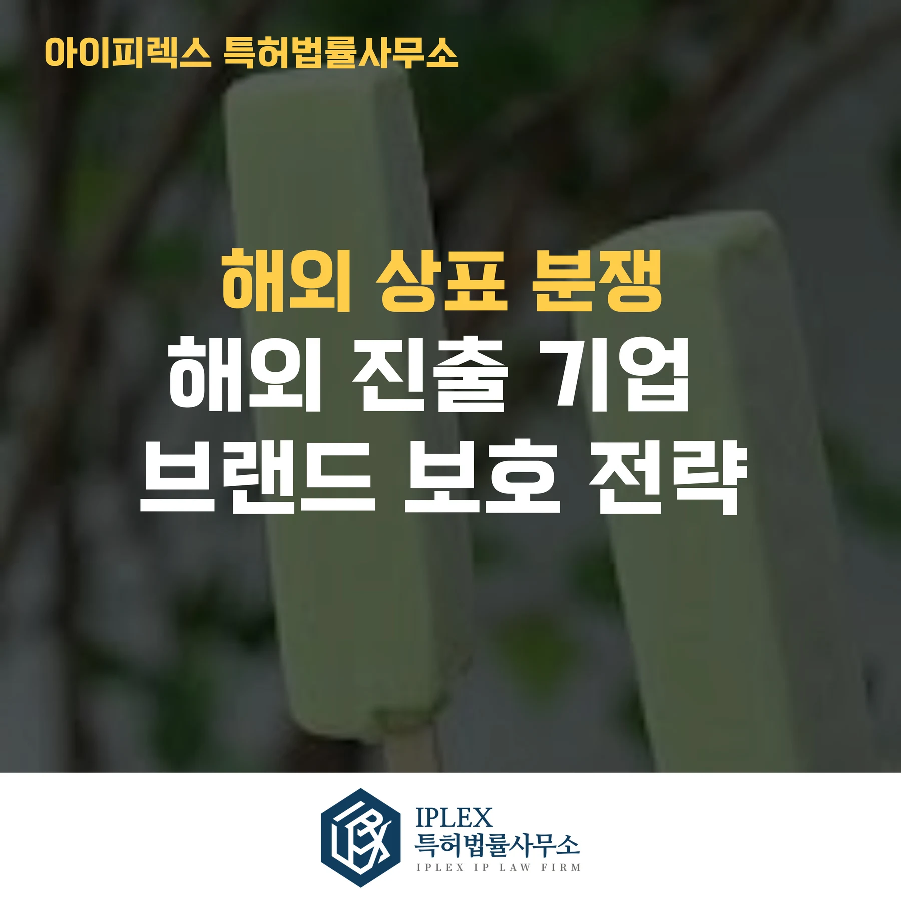 메로나 카자흐스탄 사례로 본 해외 상표권 보호 전략, 등록만으로 충분할까? 관련 자료