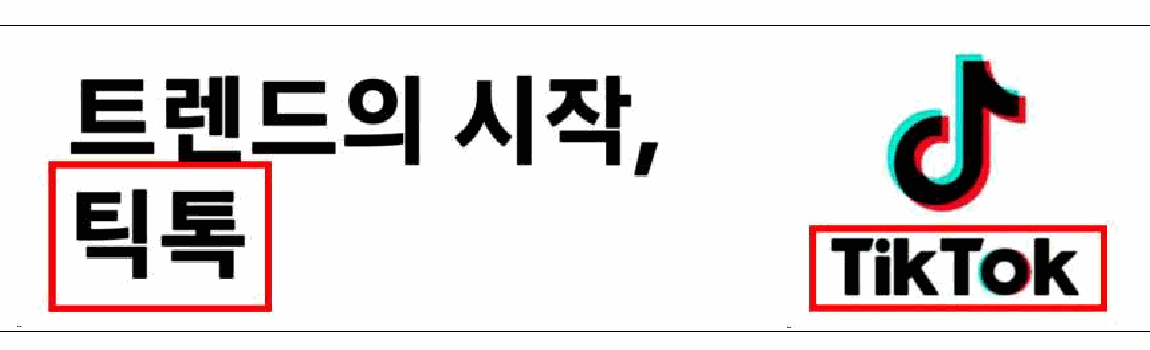 자료 4 — 틱톡 상표를 과자에 쓰면 등록할 수 있을까요?
