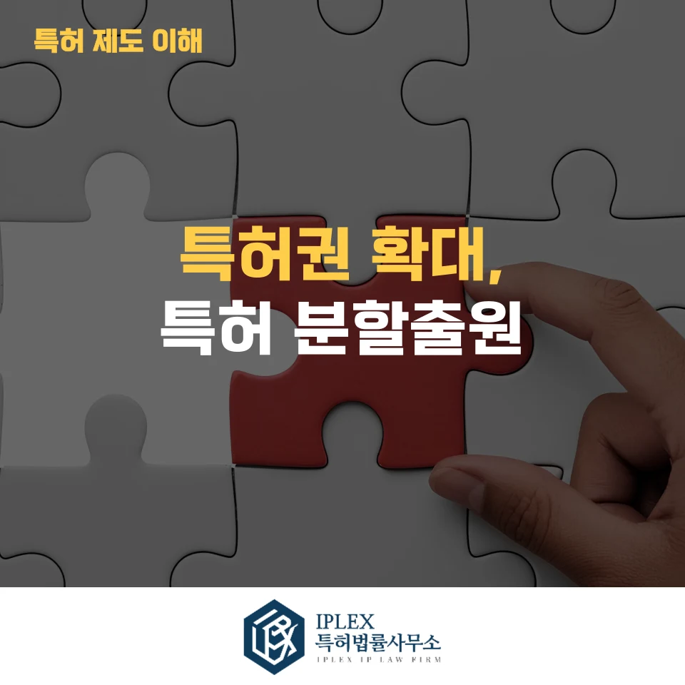 특허 분할출원, 언제 필요할까? 개념부터 활용 전략까지 관련 자료