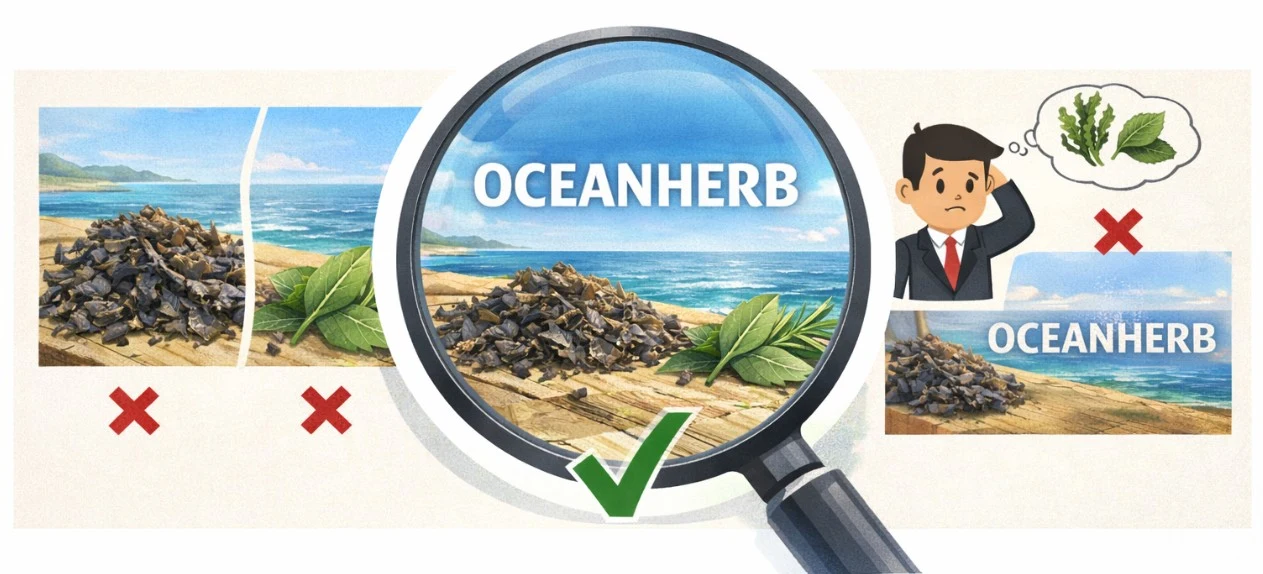말레이시아 상표 등록 거절 대응 가이드: 화장품 브랜드 OCEANHERB 사례로 보는 식별력 문제 해결 전략 관련 자료