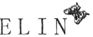 Ilustración: Similitud entre marcas: ELIN frente a Eryn Brinie